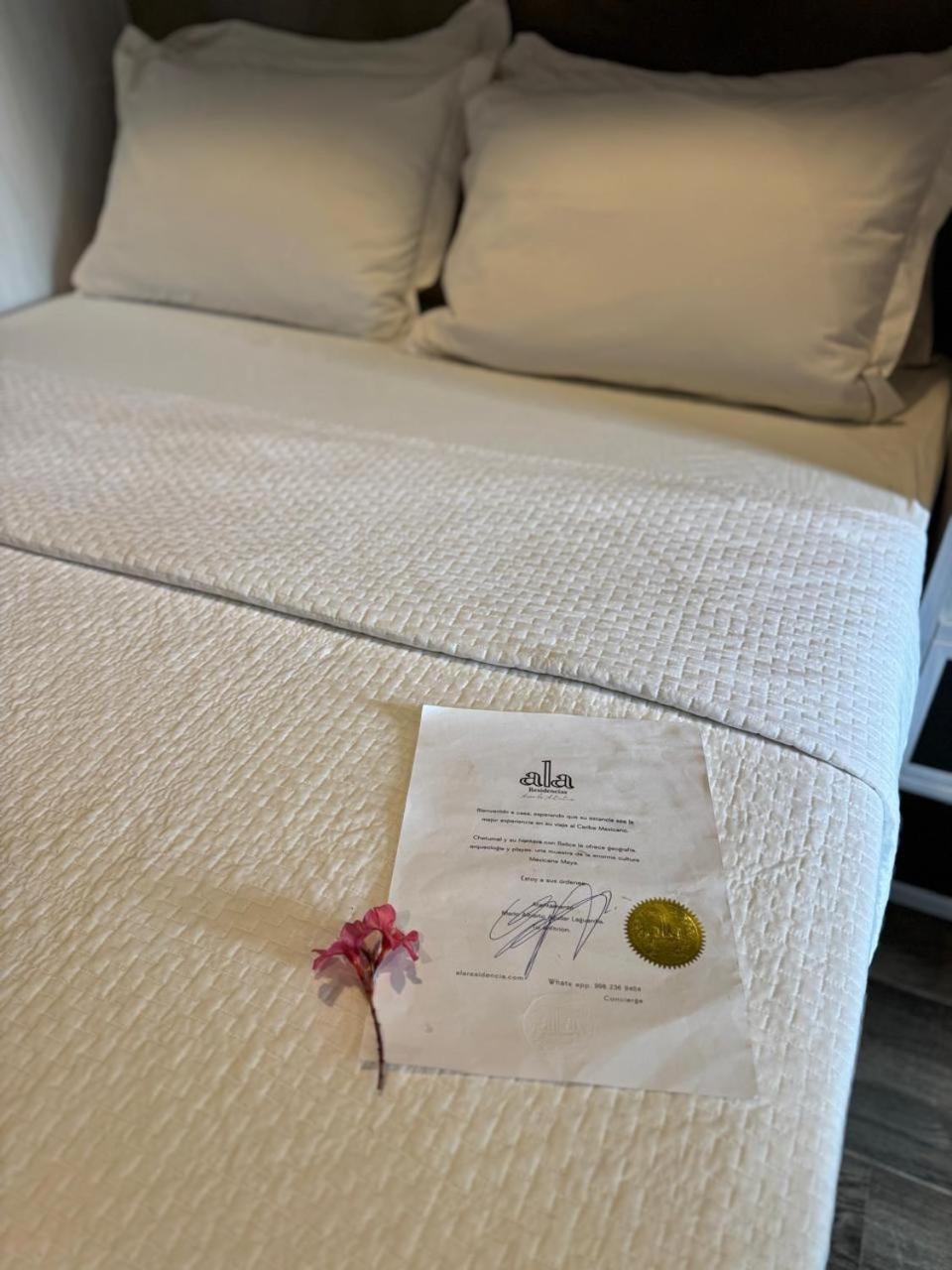 Hotel "Ala Residencias" Chetumal Exteriör bild